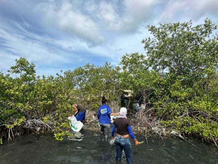 Realizan jornada Pesca tu Plástico en lagunas de Punta de Piedras