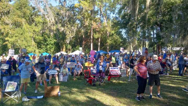 Gainesville protesters come out in force for No Kings rally