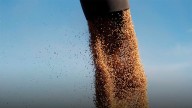 La soja acumuló una ganancia semanal de casi 9% en Rosario y cerró este viernes a $495 mil por tonelada