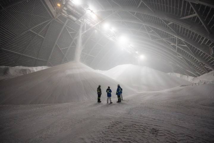 Business Brief: A test of Canada’s critical thinking