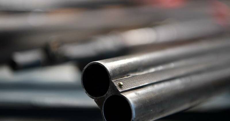 Ownership cutback triggers cross-border firearms flow