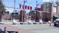 Winter carnival to bring family fun, holiday cheer to Greenville's Fluor Field