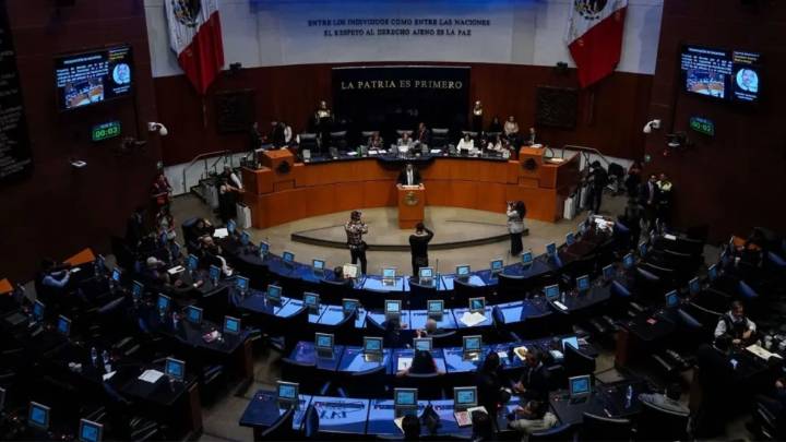 Senado aprueba reforma a Ley de Aduanas, vuelve a Diputados