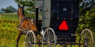 19-year-old Amish man killed in Ky. crash involving van, buggy
