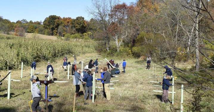 Chesapeake Bay Program Committee Resets Bay Improvement Goals for 2040