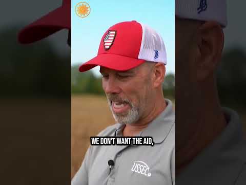 Soybean farmers struggle amid trade war with China #shorts
