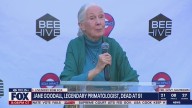 Jane Goodall, famed conservationist, dies at 91