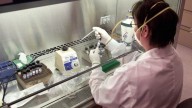 Province to build new plant, animal health centre in Abbotsford, B.C.