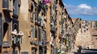 Estos son los buses especiales para ir al cementerio de Alicante por Todos los Santos