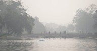 Delhi and neighbouring states choke under 'very poor' air quality, pollution levels remain alarming