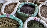 Centre clears ₹15,000 crore procurement plan for pulses and oilseeds across four states