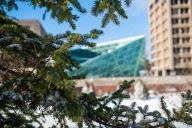 SUNY New Paltz gets $400,000 to make STEM fields more diverse