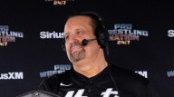 Tommy Dreamer Compares WWE NXT Vs. TNA To Other Wrestling Invasions