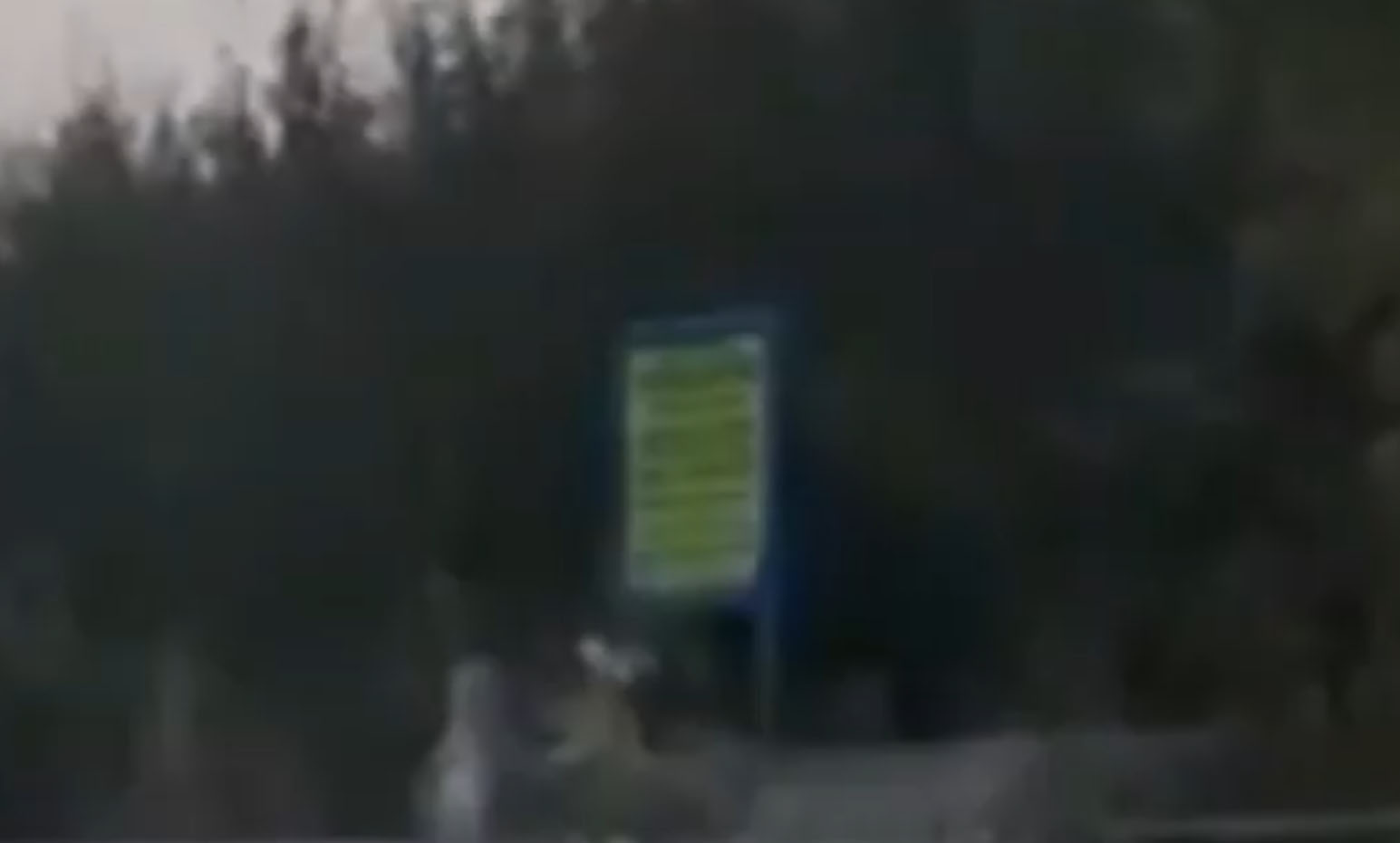 Security Forces Destroy IED In J&K’s Shopian