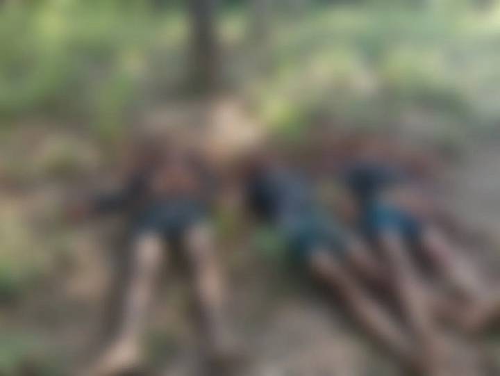 Tripura: Three Bangladeshi Nationals Lynched by Villagers Over Suspected Cattle Theft Near Border
