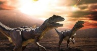 Adiós al mito del asteroide: un hallazgo científico reveló por qué se extinguieron los dinosaurios