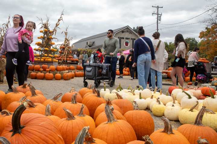 Meckley’s Flavor Fruit Farm continues fun fall tradition with cider, doughnuts and more