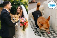 Pet Corgi Makes Hops into Fountain During Owners' Wedding Ceremony (Exclusive)