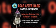 Alachua County Animal Resources hosts Halloween adoption event