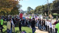 Westminster’s ‘No Kings’ rally draws hundreds to city
