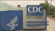 Dozens of CDC workers laid off by Trump administration