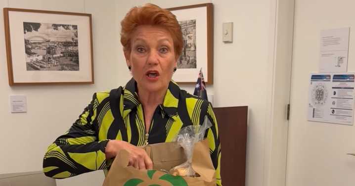 Pauline Hanson: Queensland Senator calls for Woolworths and Coles to bring back plastic shopping bags