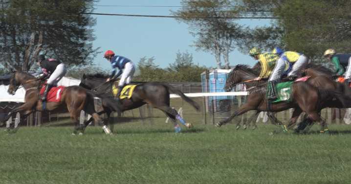 Annual fall Foxfield Races return