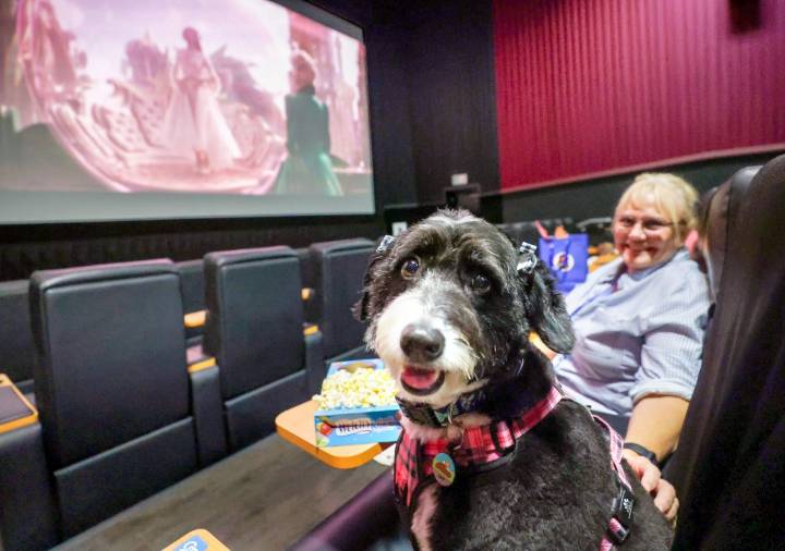 Pictures: Dog Day at Regal Winter Park Village