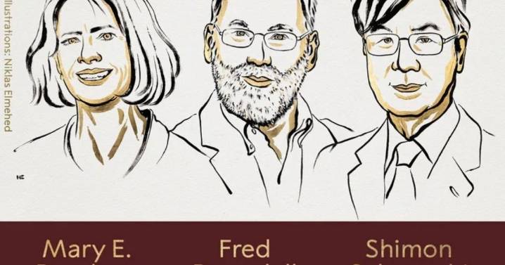 El Premio Nobel de Medicina 2025 fue para tres investigadores del sistema inmunitario
