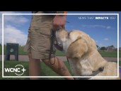 Service dog saves veteran's life
