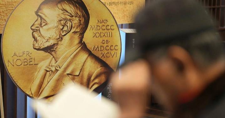 Molecular discovery that won Nobel Prize in chemistry is likened to 'Harry Potter' enchanted handbag