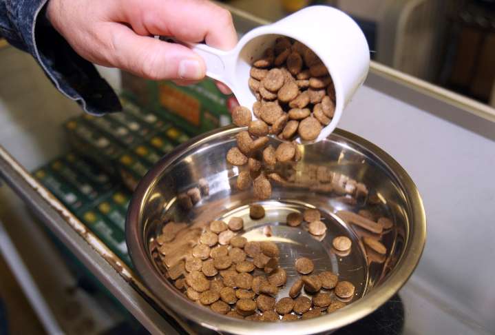 Raw dog food and healthy pet foods recalled due to salmonella