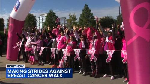 Thousands participate in Making Strides Against Breast Cancer Walk at Chicago's Soldier Field