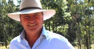 Barnaby Joyce's move to One Nation: self