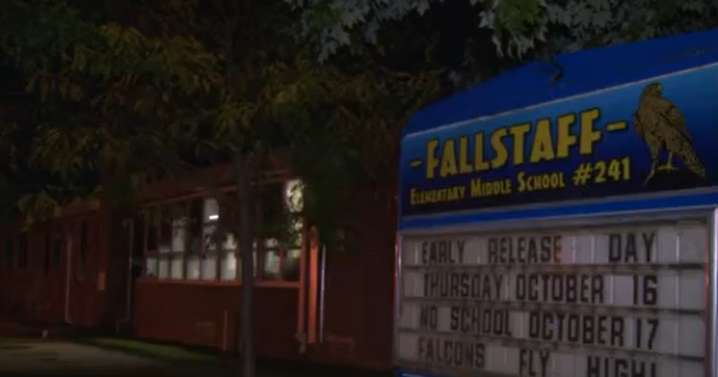 Rabid raccoon gets inside Baltimore school, trapped under lockers by staff