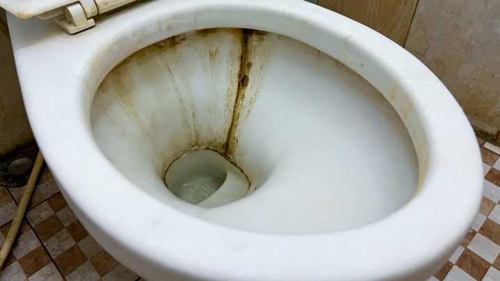 The Paper Towel Trick That Makes Cleaning The Toilet A Breeze