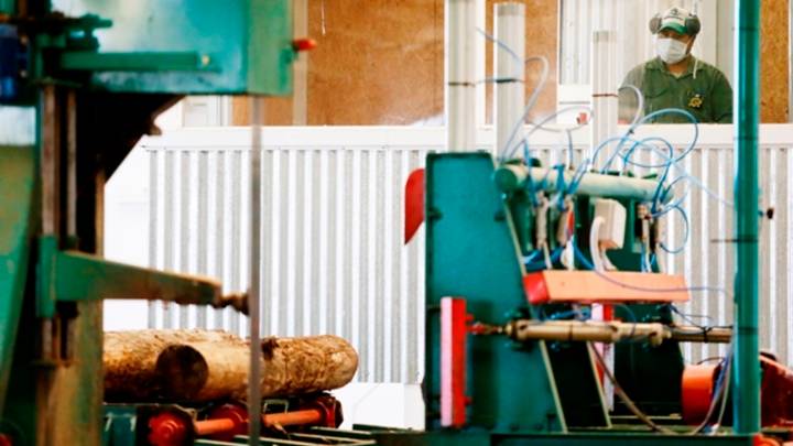 Viviendas en madera y economía circular