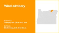 Wind advisory issued for Foothills of the Northern Blue Mountains of Oregon until Wednesday morning