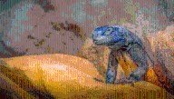 “Invasive” Iguanas Spared Eradication As It's Discovered They Were On Clarion Island Before Humans Arrived