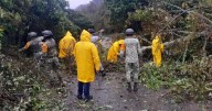 Lluvias dejan 41 muertos y 27 desaparecidos en cuatro estados