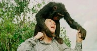 BREAKING NEWS: Wildlife advocate, primate expert Jane Goodall dies at 91