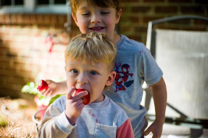 WIC food program receives $300M to keep running during government shutdown