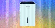 The Best Dehumidifiers to Keep Your Home Cool and Dry