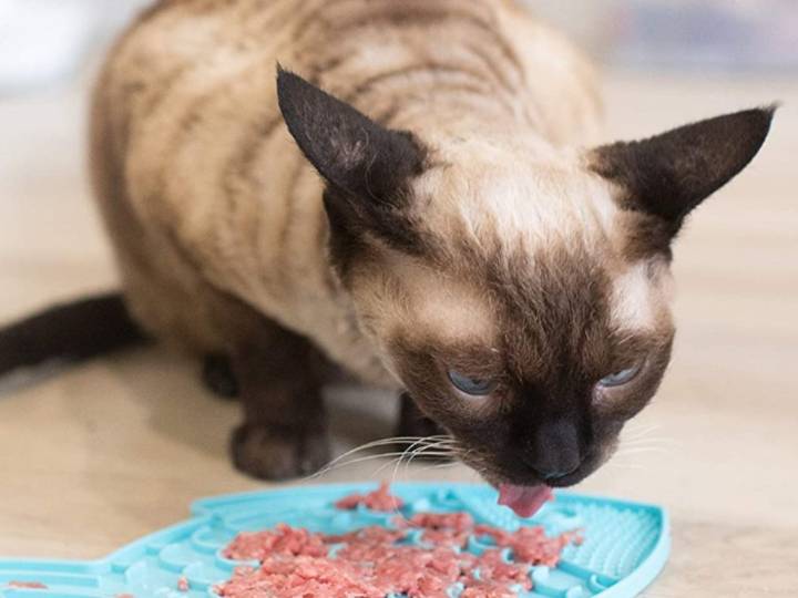 One Shopper Said This $10 Anxiety-Reducing Bowl ‘Helps My Cat’s Eating Problem'