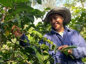 Con variedad de perfiles y sabores 12 empresas caucanas participan en Cafés de Colombia Expo 2025
