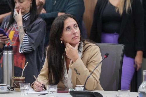 Brambilla entre los diputados que hicieron que la Ley sobre DNU vuelva al Senado