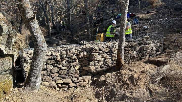 La Confederación del Tajo trabaja para restaurar las zonas afectadas por los incendios en Cáceres