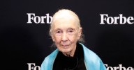 Chimp expert Jane Goodall who 'revolutionised science' dies