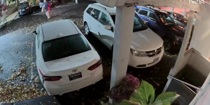 PPB video of person seen near scene of fire in Mill Park