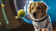 OpenAI's Sora 2 Arrives With New Features And Improvements, But Can It Challenge Google Veo 3?